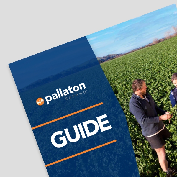 2022 essential grower toolkit for Pallaton Raphno®
